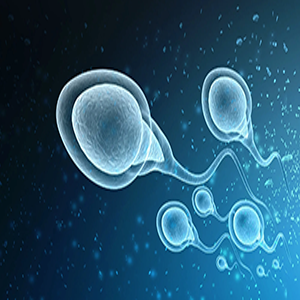 Male Infertility