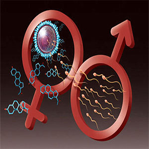 egg donation