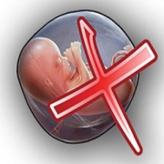 Null pregnancy