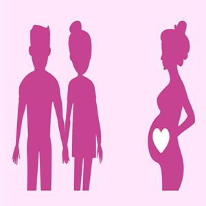 Surrogate Mother image