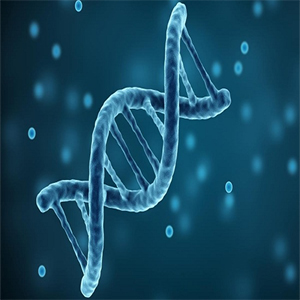 The role of genetics in infertility