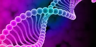 The role of genetics in infertility