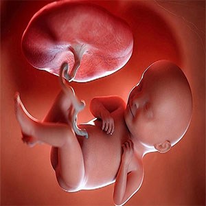 تاثیر عفونت واژن بر روی جنین