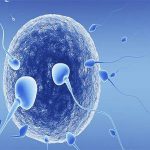 علل ناباروری