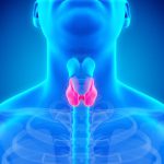 نقش تیرویید در ناباروری مردان