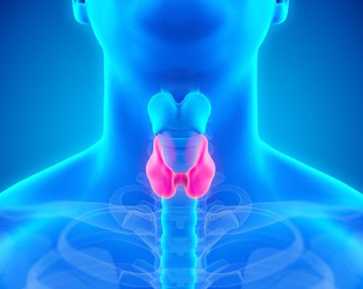 نقش تیرویید در ناباروری مردان