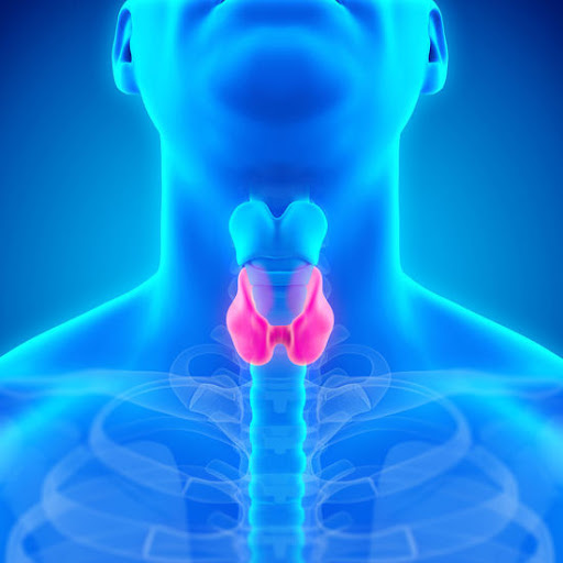نقش تیرویید در ناباروری مردان
