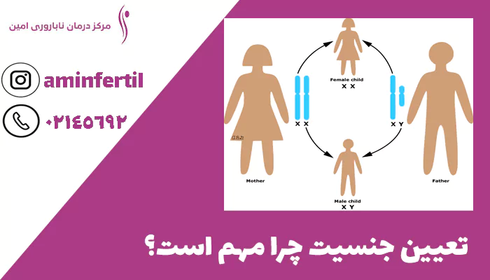 تعیین جنسیت چرا مهم است؟