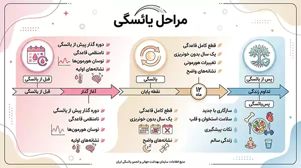 مراحل یائسگی اینفوگرافیک