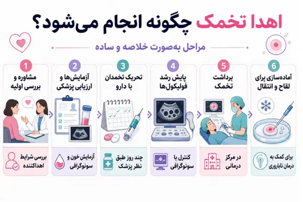 اهدا تخمک چگونه انجام می‌شود؟